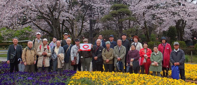 hanami111.jpg
