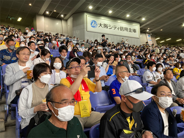 野球観戦