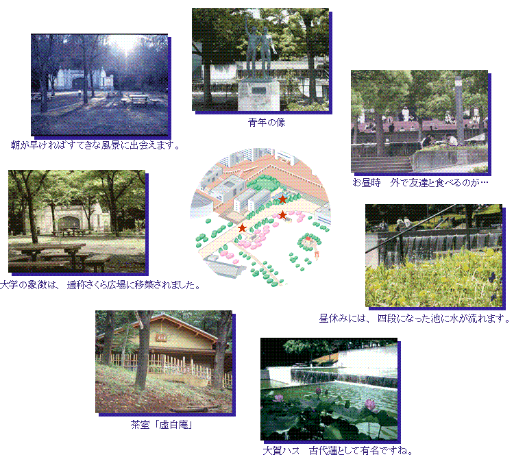 白門・さくら広場・池・茶室