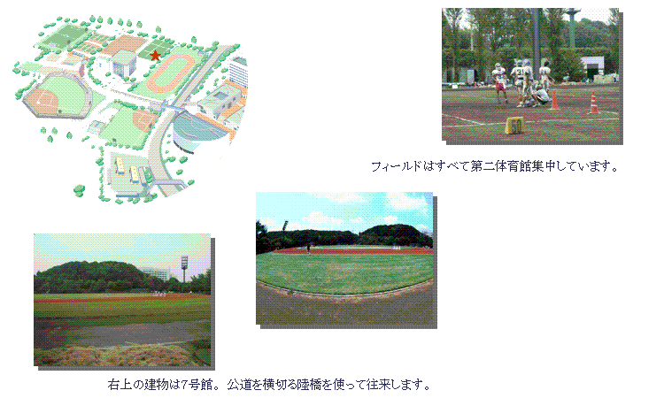 フィールド
